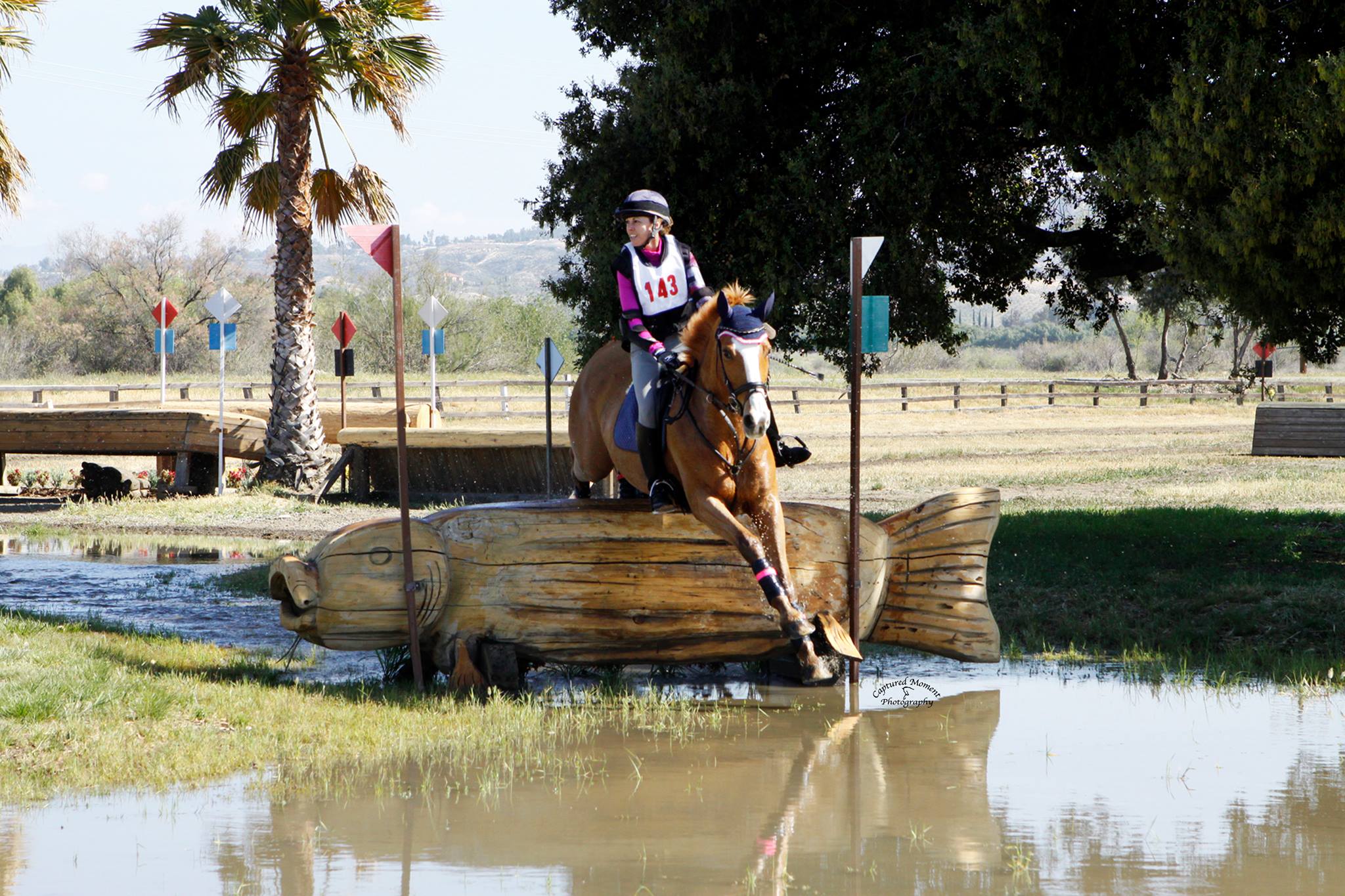 Gail Brackett - Cross country